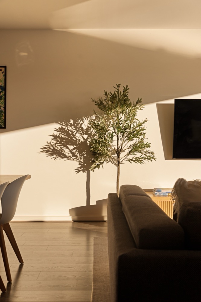 Real estate photo by Memoryco Media